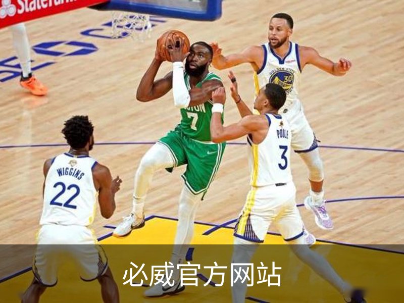 必威官方网站概况